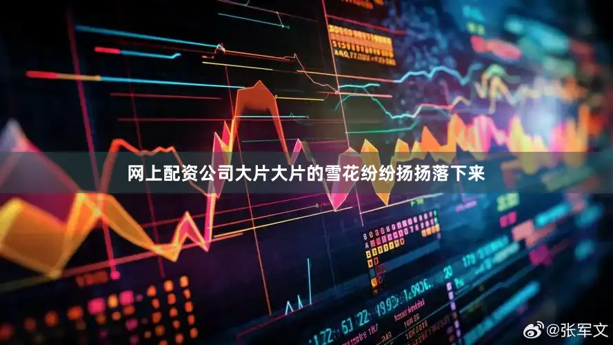 网上配资公司大片大片的雪花纷纷扬扬落下来