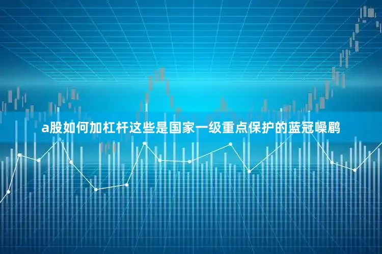 a股如何加杠杆这些是国家一级重点保护的蓝冠噪鹛