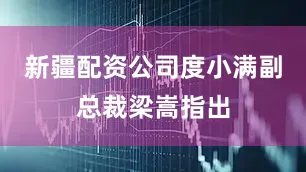 新疆配资公司度小满副总裁梁嵩指出